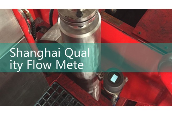 Shanghai Quality Flow Meter Budget